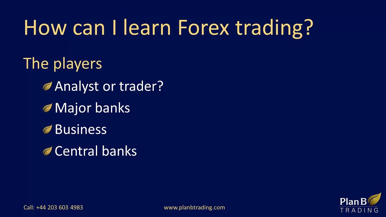 How Can I Learn Forex Trading | Forex Training Courses | Plan B Trading ...