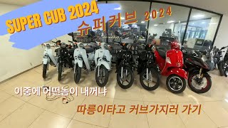 따릉이 타고 슈퍼커브 2024 출고하러 가기! 리얼 자세한 설명 포함! 커브의 모든것?! #슈퍼커브 #supercub