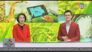 ไก่ซารามอ ในรายการเมืองไทยใหญ่อุดม ทาง ททบ.5 By.Serama Kt Thailand