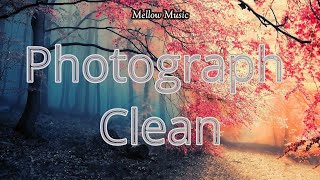 Photograph x Clean (Lyrics) | Louisa Wendorff feat. Who Is Fancy