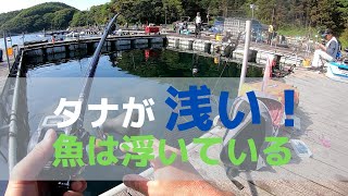 魚は浅いところで食ってくる！海上釣堀フィッシングレインボー