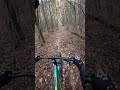 ⚡️ mtb hardtail pov downhill trail autumnvibes🍁