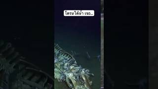 บินโดรนใต้น้ำ เจอ…🩻🦴🐡