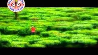 Sakalu sakalu - Phoola kandhei  - Oriya Songs - Music Video