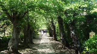 鎌倉・極楽寺