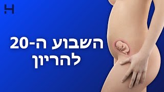 שבוע עשרים להריון | 40 צעדים | הדסה טי וי