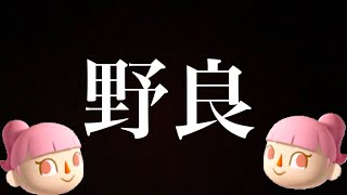 雑談しながら世界野良！！【マリオカート８DX】