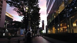 4K JAPAN Evening walking from Sakae to Nayabashi in Naka ward - Nagoya, Aichi - DJI OSMO POCKET