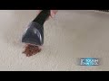 proheat 2x® lift off® pet upright carpet cleaner