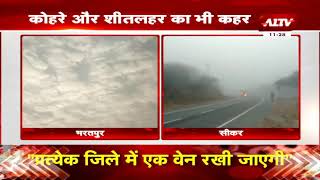 शेखावाटी में शीतलहर और कोहरे से जनजीवन हुआ प्रभावित || Cold Wave in Rajasthan ||