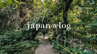 [JAPAN VLOG] day 7 \u0026 8 | okinawa | ojima island | cat island | valley of gangala | osaka namba