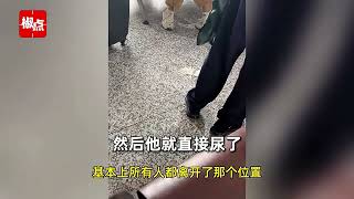 老人放纵小孩在候车室随地小便被吐槽，走几步路就是卫生间，客服回应