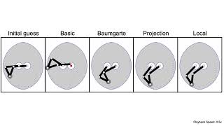 Direct Collocation Methods for Trajectory Optimization in Constrained Robotic Systems