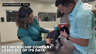 Doggie database disappears: Tennessee pet owners scramble to update microchips