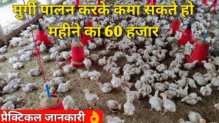 मुर्गी पालन कैसे शुरु करे/ how to start poultry farm