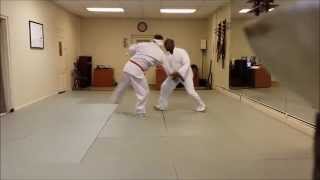 Pivot Take Down (Nihon Goshin Aikido) or Shiho Nage (Daitoryu Aikijujutsu)