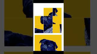 Sliding Image Puzzle 🧩 | HTML CSS JavaScript #coding #puzzlegame #puzzle #javascriptgame #javascript