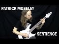 Patrick Moseley - Sentience - Guitar Playthrough