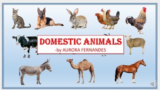 Domestic Animal Presented by Tr. Aurora Fernandes