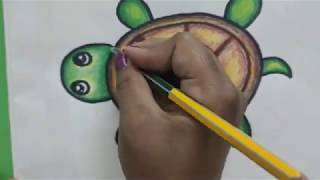 Step by step colouring a Tortoise
