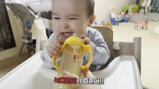 나는 육식동물👩‍🍳 늑대의 피가 흐른다..[8개월 아기] 분유 스케일링👶