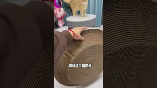 猫抓板这种消耗品绝对不能用来炒作，现在外面随便设