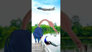 Artificial #peacock water transport to rescue drought special effects #funny #shorts #comedy