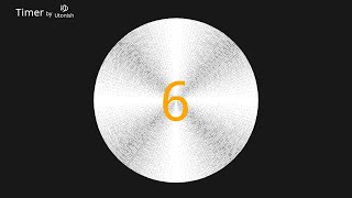 6 Second Interval Timer
