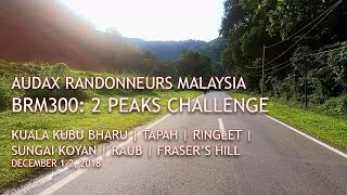 Audax Malaysia BRM300 - 2 Peaks Challenge