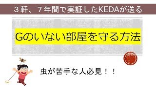 【虫嫌い！！】ゴキブリのいない部屋を守る方法