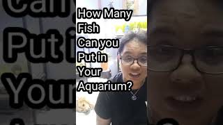 Can I put 1000 Guppies in a 5 Gallons Aquarium?