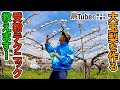 埼玉・大玉梨を作る受粉テクニック教えます！～埼玉・久喜市～ 第4代農Tuber 渡邉雅弘 / JAグループ「農Tuber」ちゃんねる