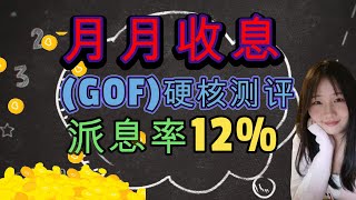 GOF派息基金测评，派息率12%|懒人投资|月派息|深度研究Guggenheim Strategic Opportunities Fund