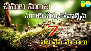 చీమల నుంచి నేర్చుకోవాల్సిన 7 విలువైన పాఠాలు| Never Say Never #motivationaltelugu #inspirationalwords