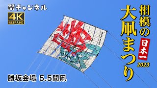 [神奈川]相模の大凧まつり_勝坂会場5.5間凧2023/5/5