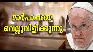 വിമത വൈദീകർ ശപിക്കപ്പെട്ടവരാണെന്ന് ഒരു വിശ്വാസി