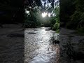 Air Terjun Sungai Pinang, Batang Kali Selangor | Jalan Batang Kali ke Genting #shorts