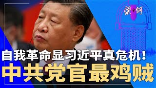 习近平“自我革命”显真危机！中共党官最鸡贼，全是两面人  | #梁+何（408）