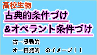 高校生物「古典的条件づけとオペラント条件づけ」