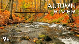 Autumn River Sounds -  Relaxing Nature Video - Sleep/ Relax/ Study - 9 Hours - HD 1080p