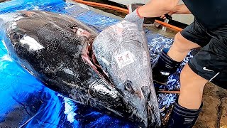 660LB GIANT BLUEFIN TUNA CUTTING SHOW巨大黑鮪魚切割秀/ How to Cook Seared Tuna Steak