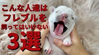 こんな人達はフレンチブルドッグを飼ってはいけない3選！【飼う前に知識をつけましょう】