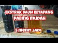 CARA BUAT EKSTRAK DAUN KETAPANG ( UNTUK IKAN CUPANG )