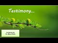 Testimony by Sis. Mary Robin| MPT Ministries