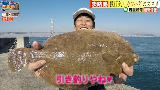 カワハギ＆カレイのすべて　ハリスにPE＋淡路島最強説!!　明石海峡編♫【大物投げ釣り/カレイ釣り】