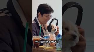 한때는 MBA의 꿈이 있었던 강아지 🐶