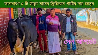 অসাধারণ ৫ টি ফ্রিজিয়ান গাভীর দাম । চলে গেল ফকিরহাট বাগেরহাট । উন্নত মানের গাভী কিনতে কল করুন ।