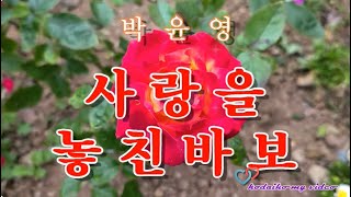 박윤영  ☆  사랑을 놓친바보