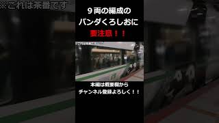 #storts 【9両のパンダくろしお】パンダくろしおにパンダじゃないのが混ざってる【鉄道旅ゆっくり実況】