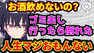 【一ノ瀬うるは】お酒で人生を楽しみたかったけど楽しめない！お酒の失敗談を語る一ノ瀬うるは。【ぶいすぽっ/切り抜き/雑談】